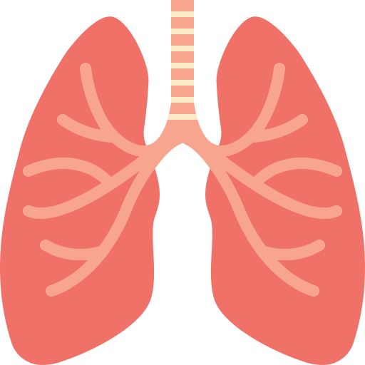 organo